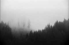 Autumn Morning Fog. Camera: Nikon FE2. Film: Rollei Infrared 400. Developer: Rodinal. Location: Breitenau am Hochlantsch/Austria.