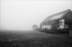 Autumn Morning Fog. Camera: Nikon FE2. Film: Rollei Infrared 400. Developer: Rodinal. Location: Breitenau am Hochlantsch/Austria.