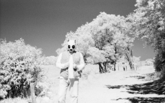 Burgenland: Pandacalypse