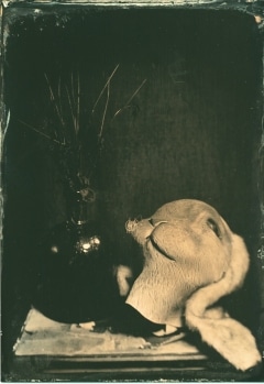 Still with a Rabbit\'s Head