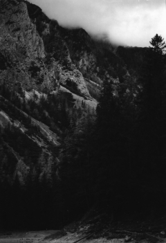 Dark Lake, Deep Woods