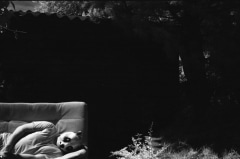 Domestic Panda: Infrared.