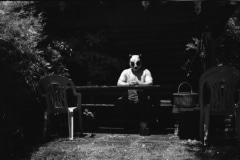 Domestic Panda: Infrared.