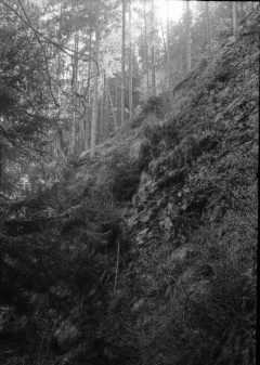 In Hell: The Black Lodge. Camera: Zorki 1. Film: Kodak Tri-X. Twin Peaks Mystery Topic.