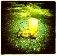 looking at things | abandoned. Camera: Holga 120. Film: Kodak E100VS. Cross Processed.