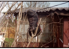 looking at things | abandoned. camera: FED 2. film: kodak color. location: dacha druzhba 5.