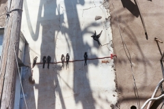 Street Art Tel Aviv
