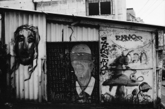 Street Art Tel Aviv, Nikon FE, Kodak Tri-X 400 @ 3200, Rodinal