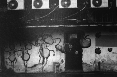 Street Art Tel Aviv, Nikon FE, Kodak Tri-X 400 @ 3200, Rodinal