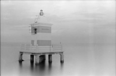 The Lighthouse