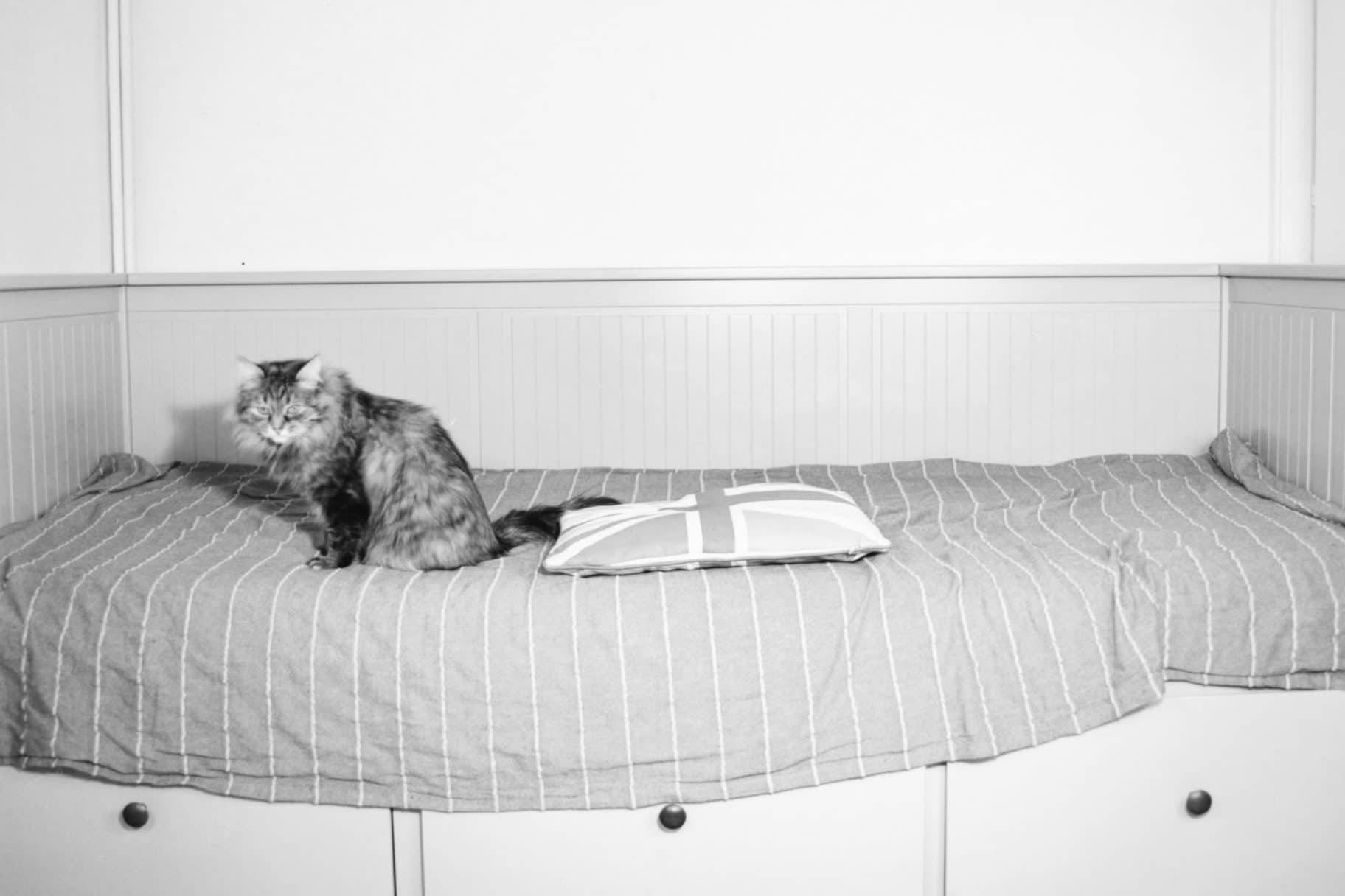 What ever happened to Brexit?