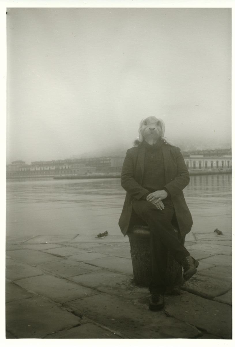 White Rabbit in Trieste