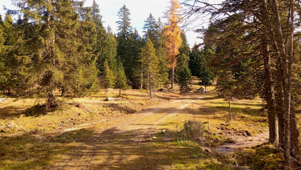 Das steirische Almenland im Südosten Österreichs