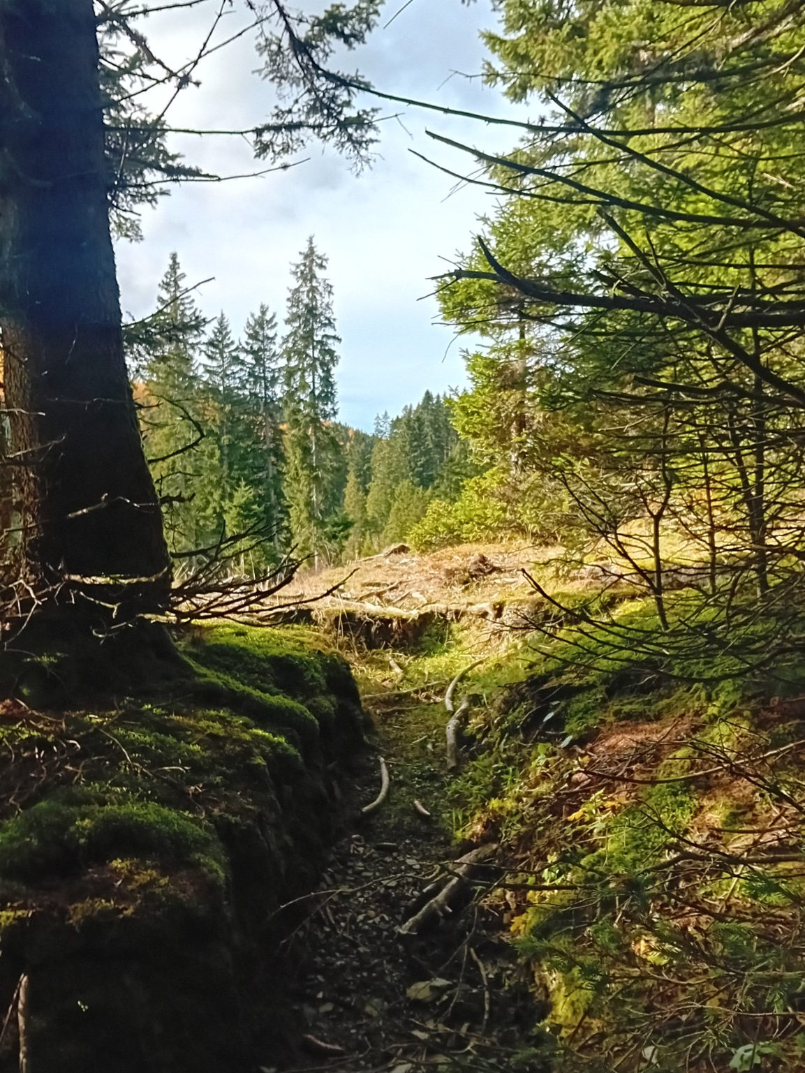 Das steirische Almenland im Südosten Österreichs