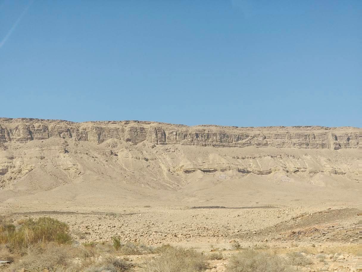 (c) Irina Wernbacher